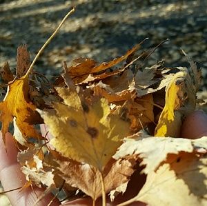 Meet your Posher, Lori